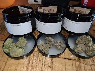 Apotheek Angelweed