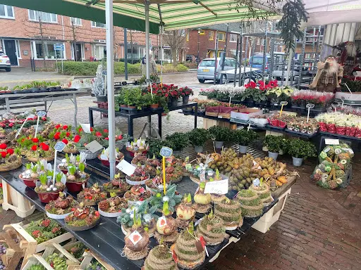 Apotheek de Brink