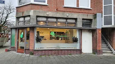 Apotheek de Vlierboom