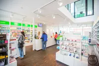 Sollie Apothekers Kapellen